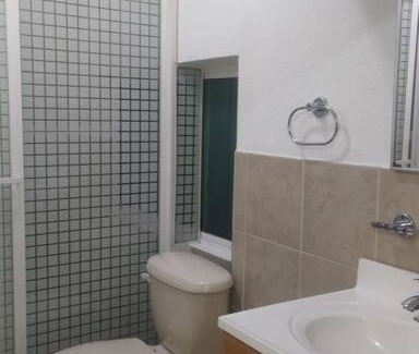 Roma Norte Apartment | Departamento el David Roma Norte