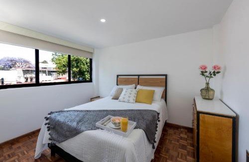 Coyoacan Apartment | Departamento en Coyoacán 7