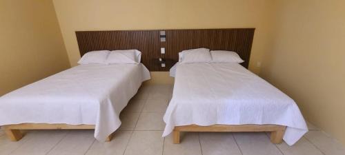 Tequila Apartment | Departamentos los 7 Nogales