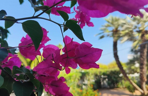 San Felice Circeo Villa | DEPENDANCE IN A PRIVATE VILLA WITH SEA VIEWS WITH OUTSIDE GREEN AREA IN A PRIVATE VILLA