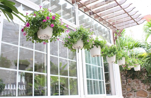Vung Tau Villa | Des Ami Villa
