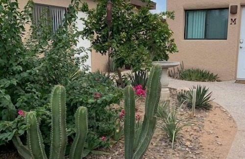 Limberlost House | Desert Morada Casita M- 1 Bed 1 Bath Dog Friendly maximum 2-NO OTHER PETS