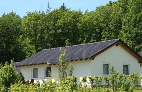 Ferienhausgebiet Hillenseifen House | Detached bungalow with dishwasher in a green area