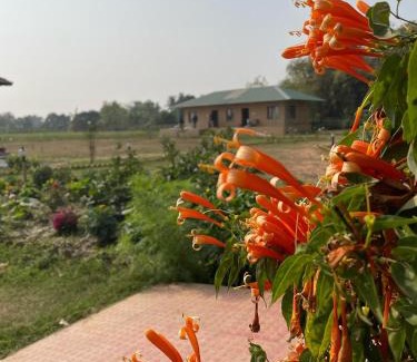 Barddhaman Hotel | Dhanbari Retreat