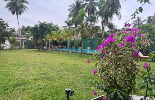 Ahangama Resort | Dharma Place