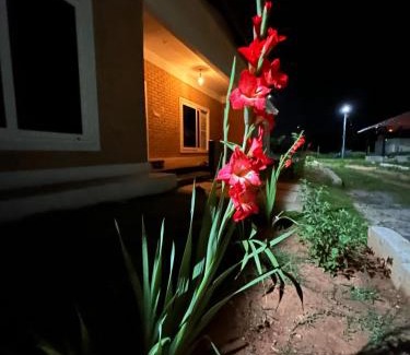 Narasapura House | DHRUPAN Farms & Leisure