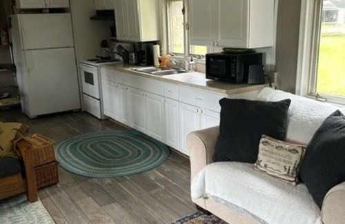 Fife Lake Cabin | Diamond in the Rough