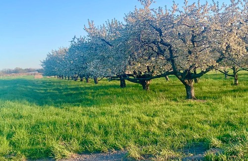 Hector House | Diamond in the Vines, the heart of FLX wine county