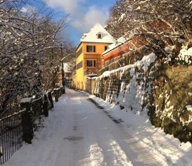 Loschwitz Apartment | Dichterhaus Dresden
