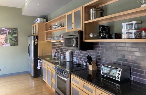 Fayetteville Condo | Dickson Street Condo-The Dickson Suite 210