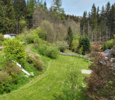 Deutschneudorf House | Die Oberlochmühle PENSION