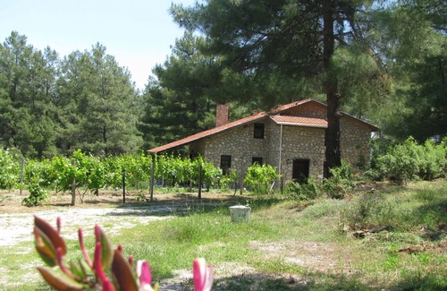 Fethiye Apartment | Dikencik Cottages