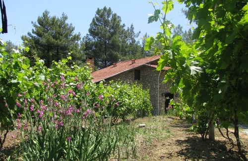 Fethiye Apartment | Dikencik Cottages