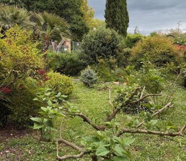 Giove House | Dimora della Jana