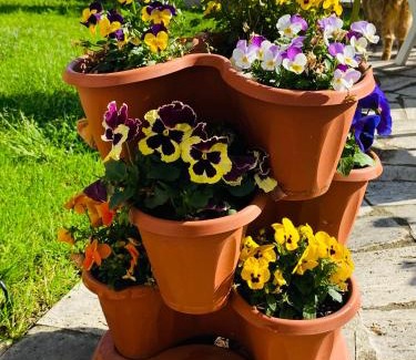 Chieti Bed & Breakfast | Dimora Il Campanile