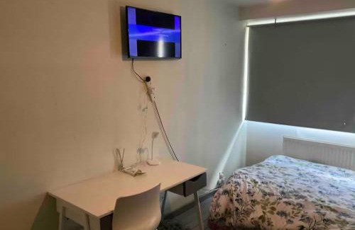 Streatham Hill House | Dino place