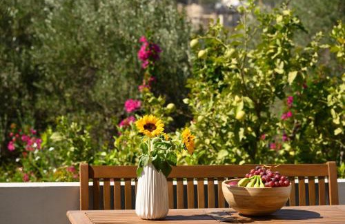 Agios Nikolaos Apartment | Dioni Lux