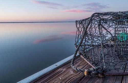 Midway Cottage | Direct Waterfront. Boat Dock on Deep Salt Water 35 miles from Savannah.