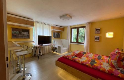 Muhlbach House | Direkt am Main