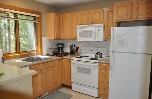 Boyne Falls Condo | Disciples Condo/Beautiful wooded setting, Golf, beach, resort activities abound
