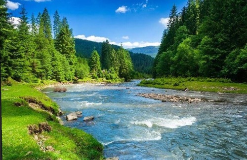 Colfax Condo | Discover Lakes, Rivers, Tahoe National Forest