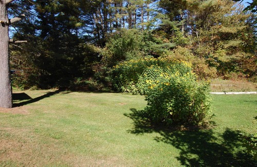 Franconia House | Discover tranquility near Franconia Notch Park 7 min