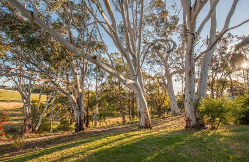 Hahndorf Resort | Discovery Parks - Hahndorf