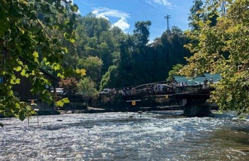 Bryson City House | DJ Bear Den