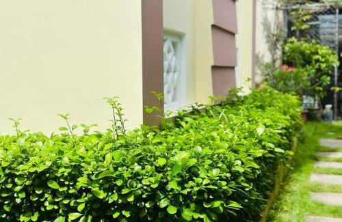 Cam Chau House | Do River Homestay