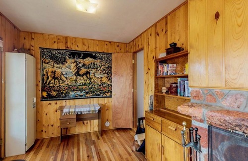 Woodland Park Cabin | Dog-friendly cabin with view of Pikes Peak & detached garage - walk to downtown