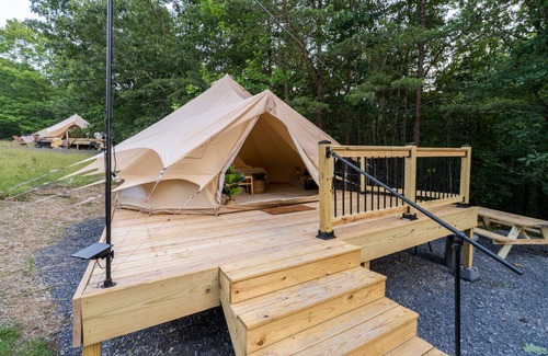 Great Cacapon RV Rental | Dog Friendly Glamping for Two in Wooded Area