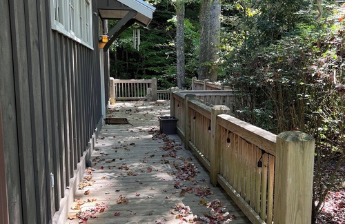 Whittier Cottage | Dog Friendly Mountain Cottage with WiFi and AC