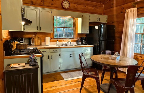 Blue Ridge Cabin | Dog-Friendly Summer Cabin Hot Tub, Fire Pit & Mountain Views for August Getaways