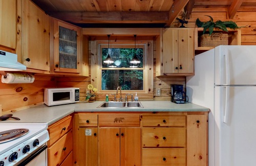 Blue Ridge Cabin | Dog-friendly waterfront cabin with a firepit & porch swing