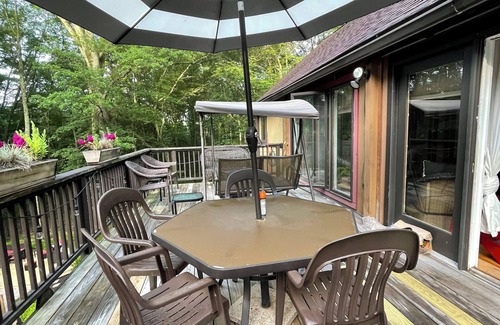 New Paltz House | Dog loving, heated salt water pool, New Paltz retreat in the woods.