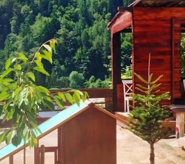 Azuga House | Doi Iepuri