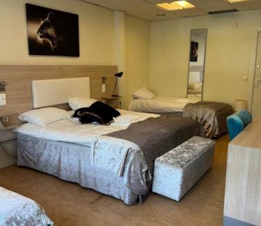 Dokka Hotel | Dokka Motell