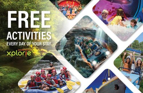 Caton House | Dolly's Cozy Cabin, Hot Tub, FREE Attraction tickets , Game Room, Theater Room, Firepit!