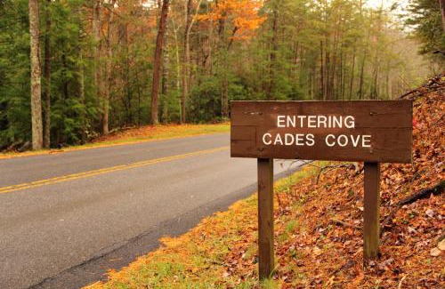 Caton House | Dolly's Cozy Cabin, Hot Tub, FREE Attraction tickets , Game Room, Theater Room, Firepit!