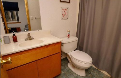 Kenai House | Dolly Varden, Cabin 3 at Lower Kenai Lodge
