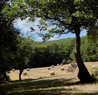 Vitrac House | Domaine de Cantegrel - Gîtes de Charme et Suite Troglodyte en Périgord