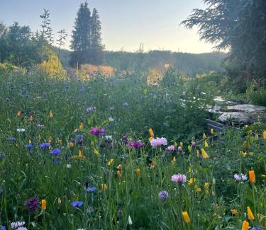 Alle House | Domaine De L'Ardoisiere