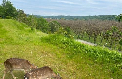 Montignac House | Domaine de la source