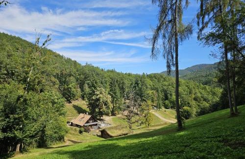 Soultzbach les Bains Ski Chalet | Domaine du Petit Dorsbach