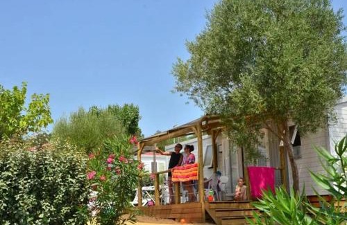 Bessan Other | Domaine Sainte Veziane