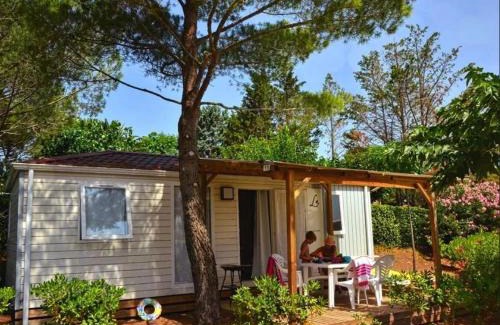 Bessan Other | Domaine Sainte Veziane