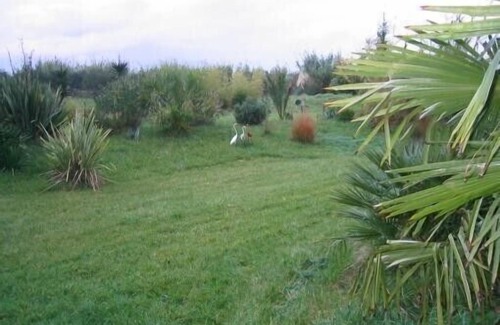 Meze Apartment | DOMAINE SESQUIER Family gîte in an exceptional Acacia farmhouse