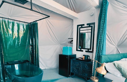 South Haven Resort | Dome 6: Groovy Green Oasis