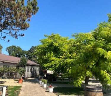 Neptun House | Domeniile Clos des Colombes