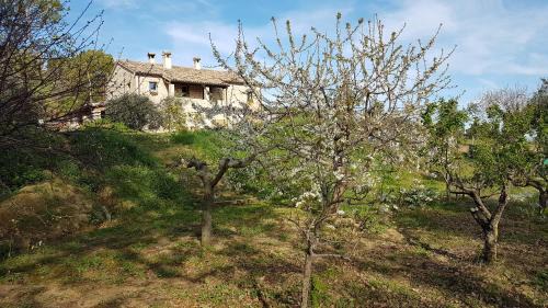 Mondaino House | Domus Taberna GIO GIO